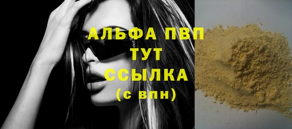 индика Майский
