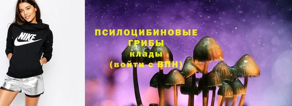 индика Майский