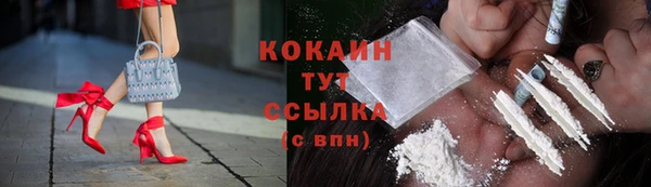 индика Майский