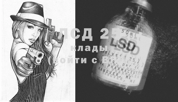 индика Майский