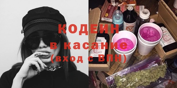 индика Майский