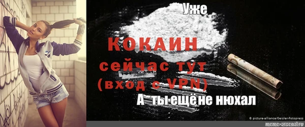 индика Майский