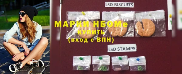индика Майский