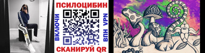OMG   Ясногорск  Галлюциногенные грибы Psilocybe 